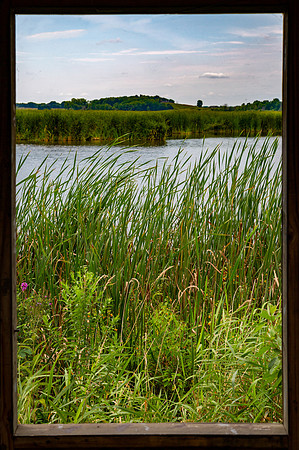 Horicon Marsh State Wildlife Area
