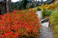 Highline Trail, Glacier National Park