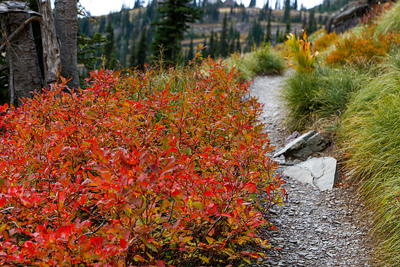 Highline Trail, Glacier National Park