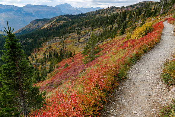 Highline Trail, Glacier National Park