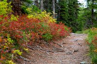 Two Medicine Lake Trail, Glacier National Park